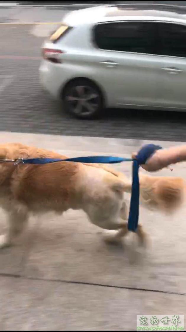 点此在新窗口浏览图片