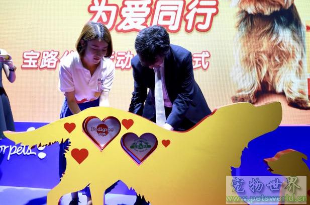点此在新窗口浏览图片